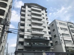 2025年9月リフォーム済!
東南角住戸!ペットと共に新生活スタート!
毎日の買い物に便利な大手筋商店街は徒歩3分!